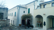 Dettaglio