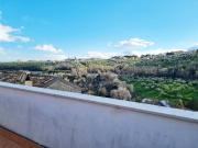 Dettaglio