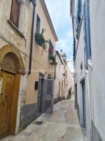 Dettaglio