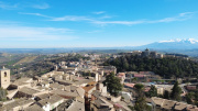 Dettaglio