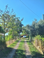 Dettaglio