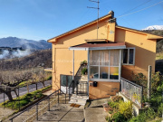 Dettaglio